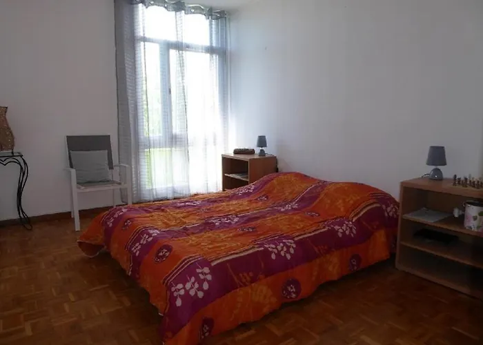 公寓 Bourg T3 En Centre 比斯卡罗斯